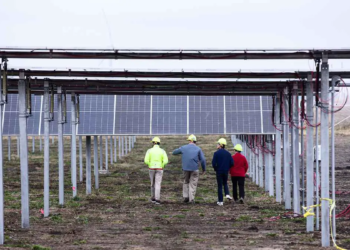 Des ingénieurs US conçoivent un réseau de distribution d'énergie solaire plus performant