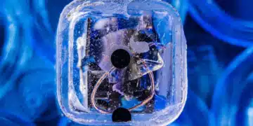 L'espoir d'un traitement innovant pour les troubles neurologiques