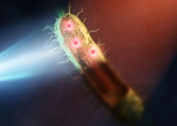 Un nouveau microscope pour explorer l'infiniment petit