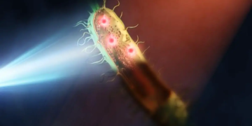 Un nouveau microscope pour explorer l'infiniment petit
