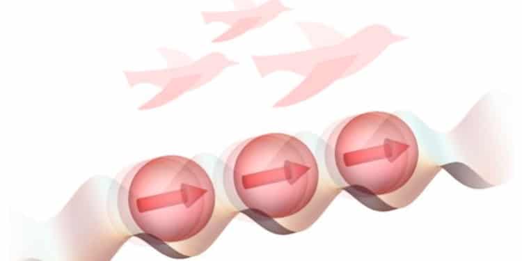 Quand les atomes imitent les oiseaux : une découverte surprenante