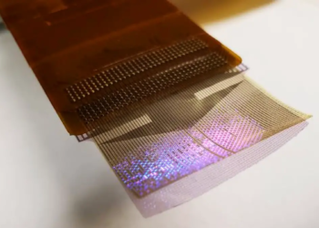 Des LED pour visualiser l'activité cérébrale pendant une opération