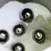 Quand la chimie des solides bouleverse l'extraction du lithium