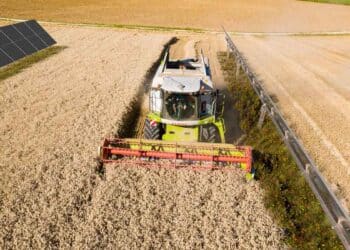 Comment l&rsquo;agrivoltaïque change le paysage agricole ?