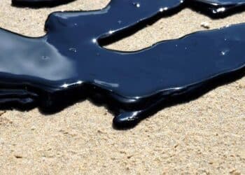 600 000 gallons de pétrole déversés en 2023 : quelles conséquences ?