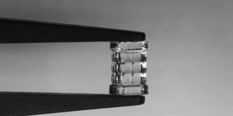 Un réseau de microlentilles 3x3 imprimé avec une précision inégalée