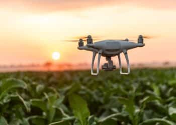 Comment la télédétection pourrait-résoudre les défis agricoles mondiaux ?