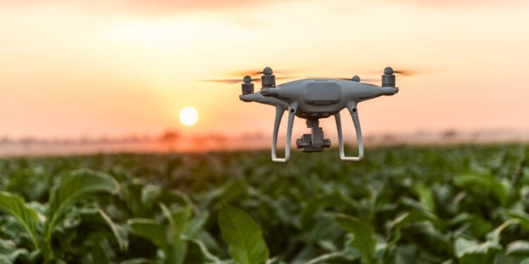 Comment la télédétection pourrait-résoudre les défis agricoles mondiaux ?