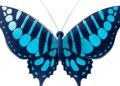Les secrets des écailles colorées des papillons dévoilés