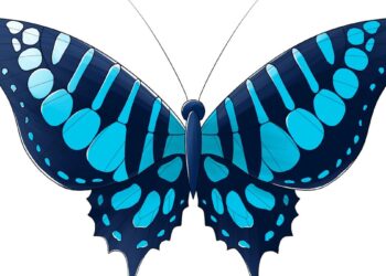 Les secrets des écailles colorées des papillons dévoilés