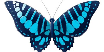 Les secrets des écailles colorées des papillons dévoilés