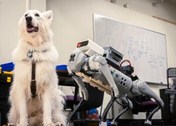 Les robots remplaceront-ils les chiens guides ? Les dernières avancées