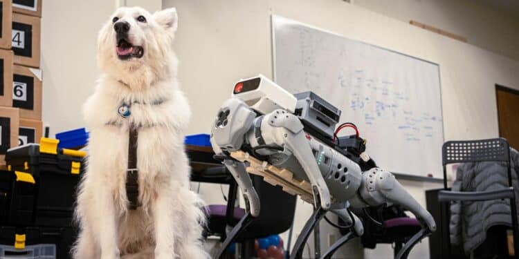 Les robots remplaceront-ils les chiens guides ? Les dernières avancées