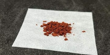 Le tanin de kaki pourrait transformer l'industrie du bioéthanol
