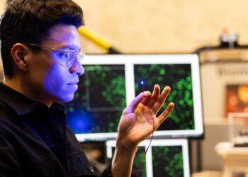 Des chercheurs du MIT dévoilent une méthode inédite pour réduire la fatigue musculaire