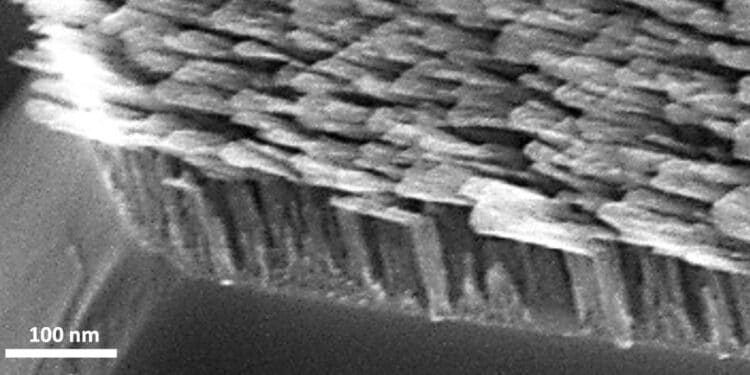 Des métamatériaux en forme de L peuvent contrôler la direction de la lumière