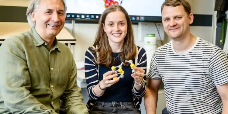 Les algues produisent de l'hydrogène sous des conditions douces