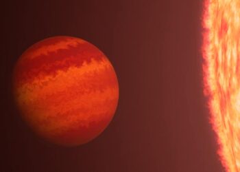 Une planète rare survit à l'énergie d'une géante rouge 