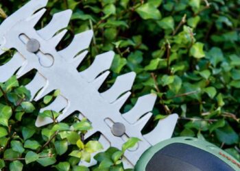 Coupez vos haies et taillez vos arbustes avec facilité et précision grâce à la cisaille Bosch EasyShear