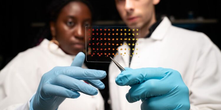 Une méthode qui accélère le dépistage des matériaux électroniques