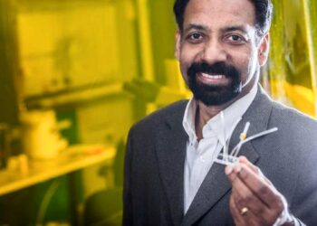 "Les algues offrent un réel potentiel en tant que source d'électricité renouvelable"