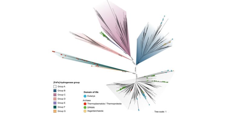 Les secrets de la fabrication de l'énergie par la troisième forme de vie