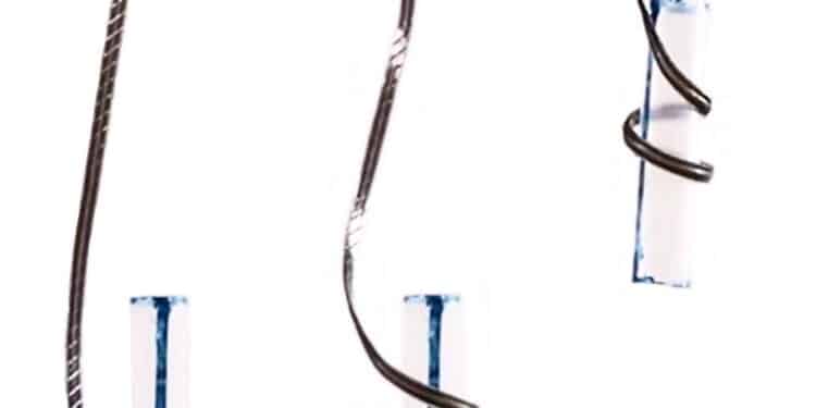 Des robots souples de seulement 0,8 mm d'épaisseur