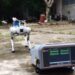 Un robot quadrupède "renifle" les gaz dangereux dans des environnements inaccessibles
