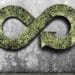 Économie circulaire : la fin de l'ère du tout-jetable ?