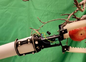 La fin des pénuries de main-d'œuvre dans les vergers grâce à un robot ?