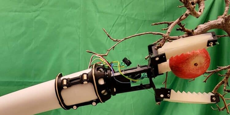 La fin des pénuries de main-d'œuvre dans les vergers grâce à un robot ?