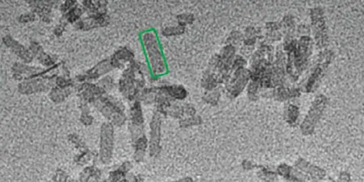 Transformation du méthanol : une avancée vers une économie circulaire