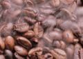 L'étude qui dévoile les secrets génétiques de notre amour pour le café