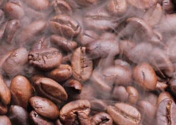 L'étude qui dévoile les secrets génétiques de notre amour pour le café