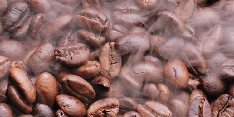 L'étude qui dévoile les secrets génétiques de notre amour pour le café