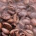 L'étude qui dévoile les secrets génétiques de notre amour pour le café