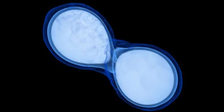 Que se passe-t-il lorsque des étoiles à neutrons entrent en collision ?