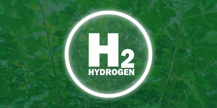 1000 projets d'hydrogène vert analysés : des résultats qui interpellent