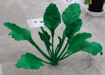 Améliorer les cultures grâce aux rayons laser et à l'impression 3D