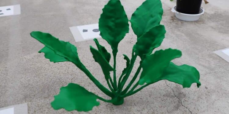 Améliorer les cultures grâce aux rayons laser et à l'impression 3D