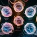 Vérification quantique : 7 protocoles quantiques passés au crible