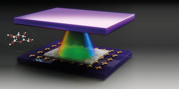 Quand le glucose révèle les mystères de la physique quantique