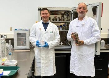 La fluocérite, un minéral rare qui change la donne pour les terres rares