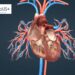 Un brassard high-tech pour déjouer le tueur cardiovasculaire invisible
