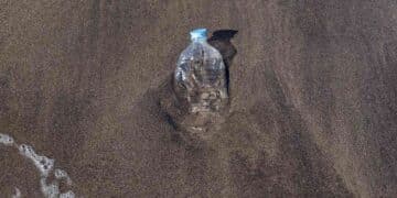 L'invisible menace plastique traquée par une nouvelle méthode scientifique