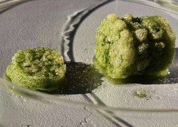 Bâtir avec des bactéries : le pari fou qui pourrait sauver notre planète