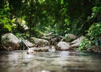 Eaux souterraines en Australie : le compte à rebours a-t-il déjà commencé ?