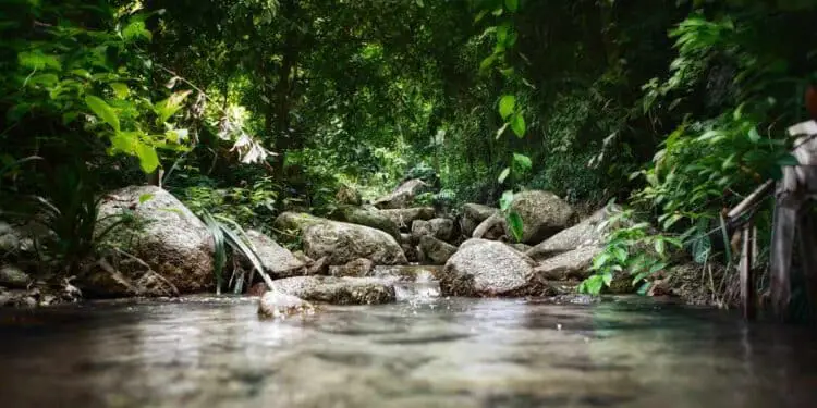 Eaux souterraines en Australie : le compte à rebours a-t-il déjà commencé ?