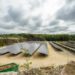 Languidic : une ancienne carrière transformée en centrale solaire géante