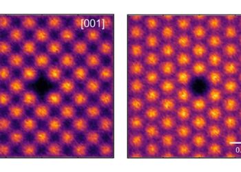 L'invisible devient visible : la microscopie franchit une nouvelle frontière
